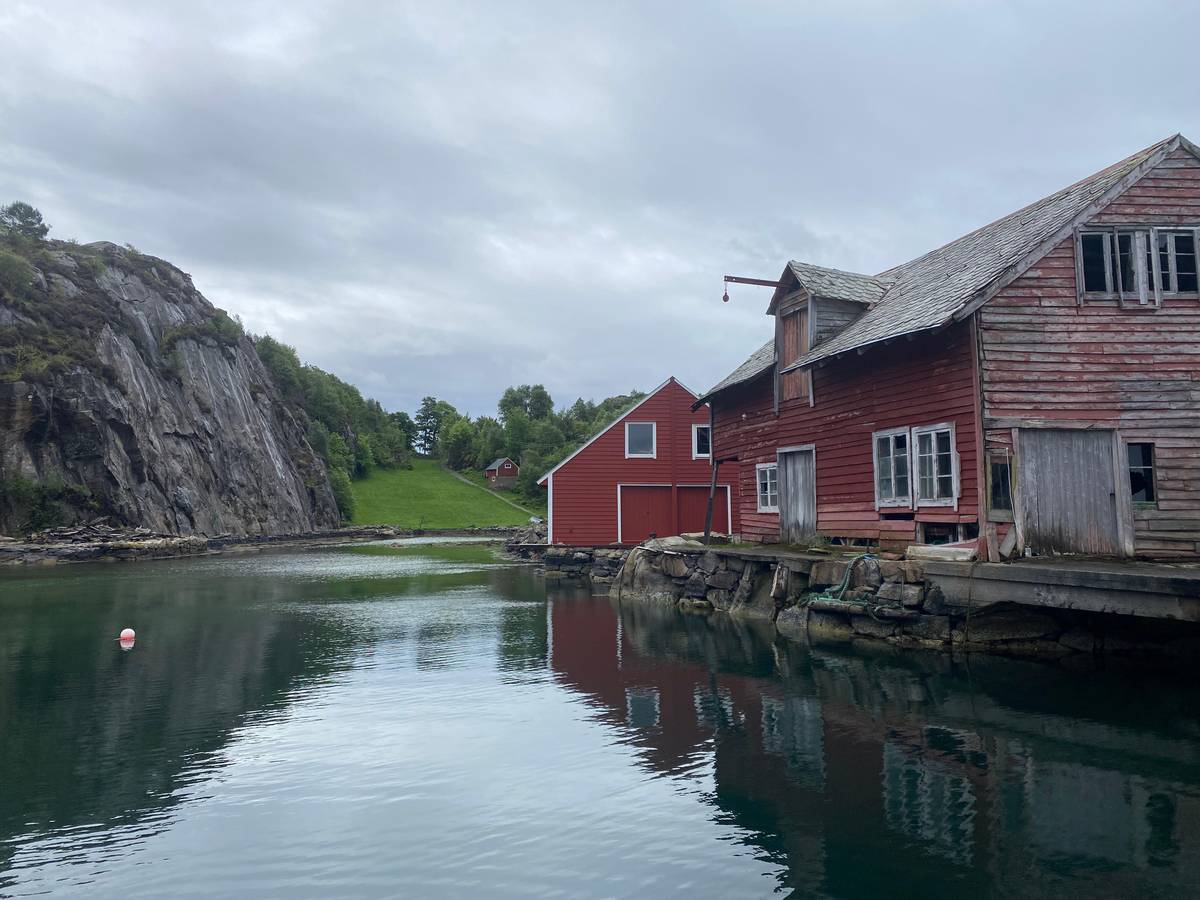 Guided kayak tour of Bergen's islets