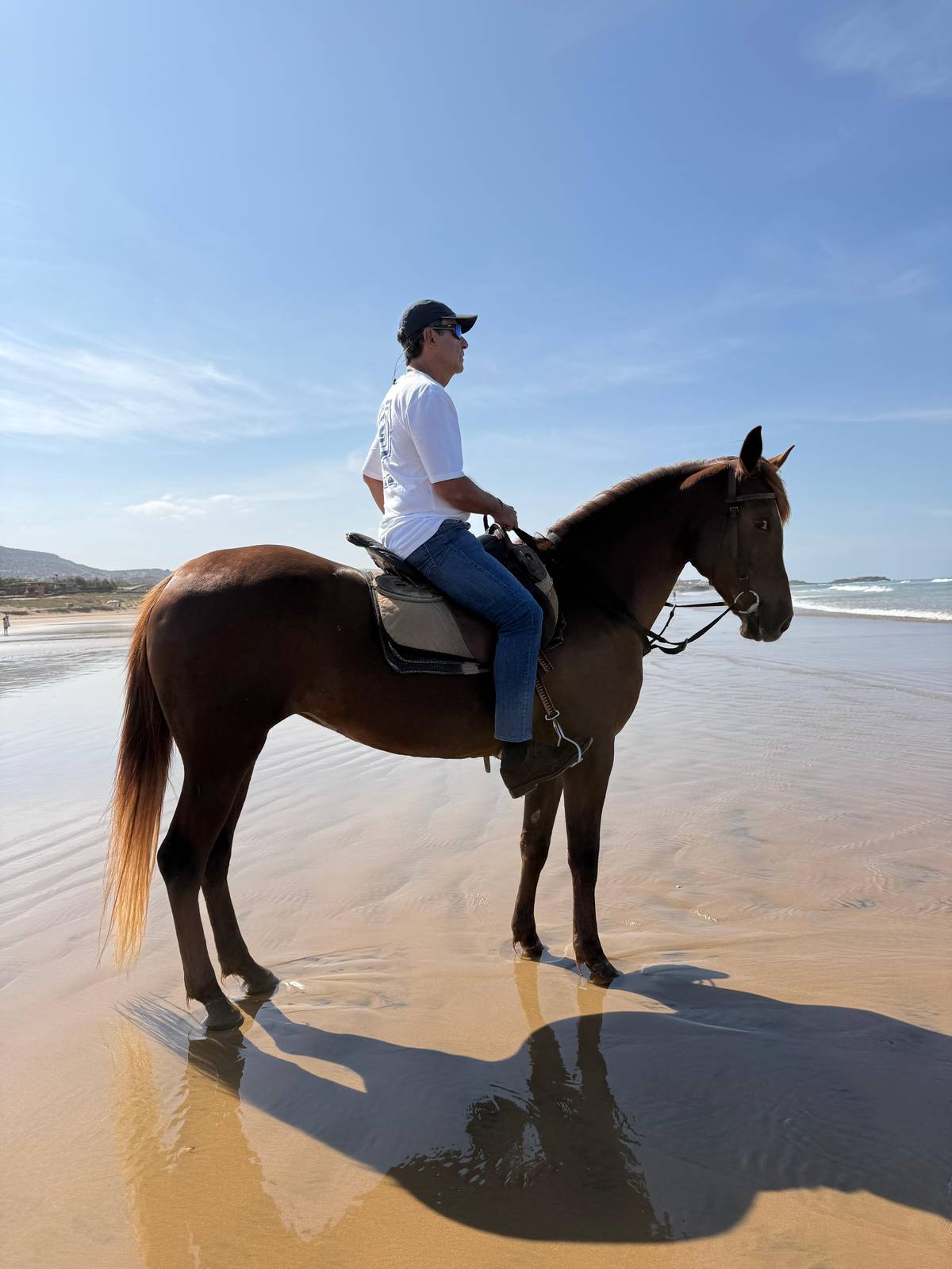 Agadir and Taghazout: 2-Hour Horseback Ride on the Beach