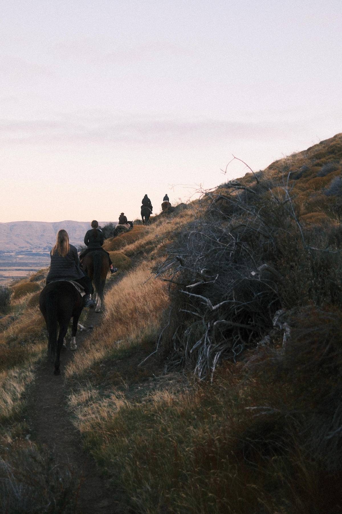 El Calafate: Horseback Riding on Cerro Frías