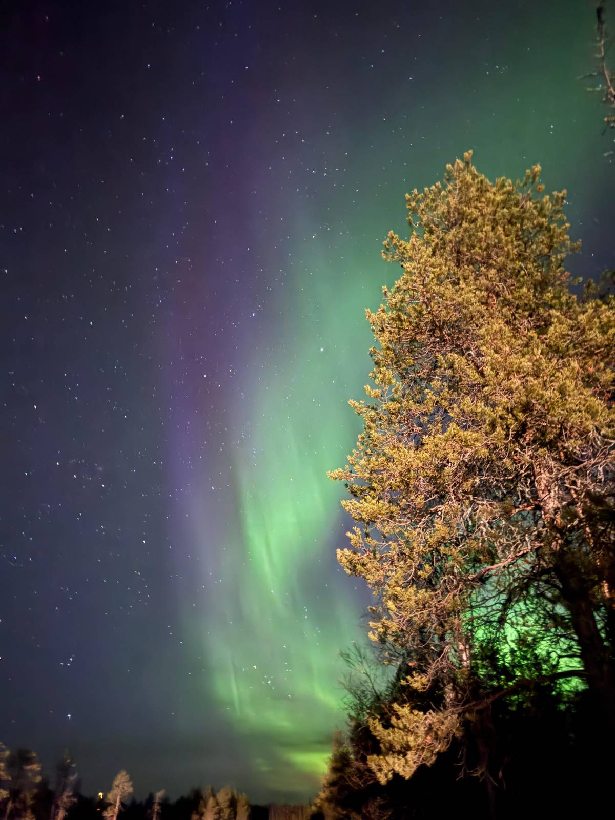 Rovaniemi: Polarlicht-Tour mit Garantie und Fotos