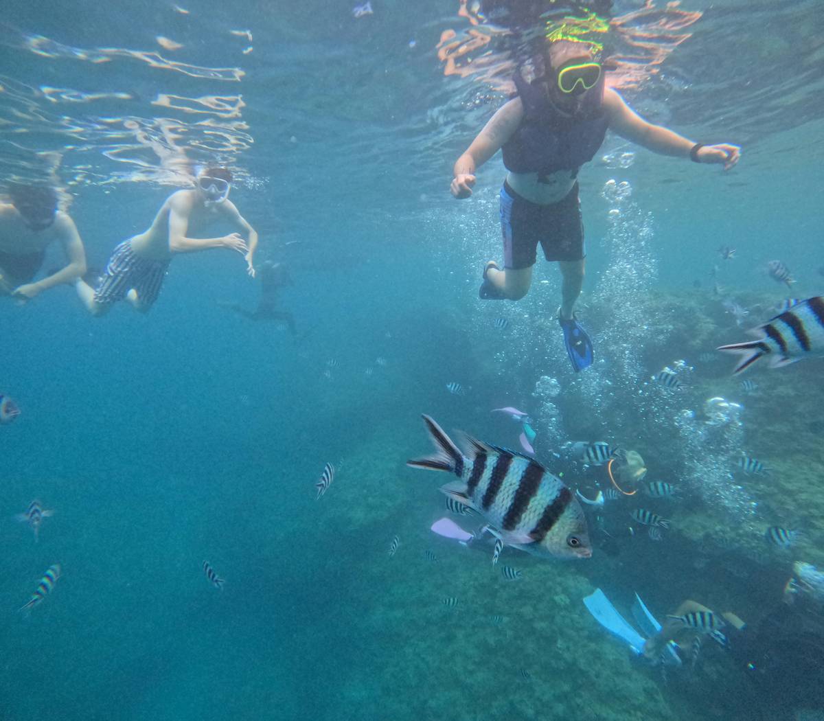 Okinawa: Blue Cave Boat Snorkeling with Free Gopro Photos