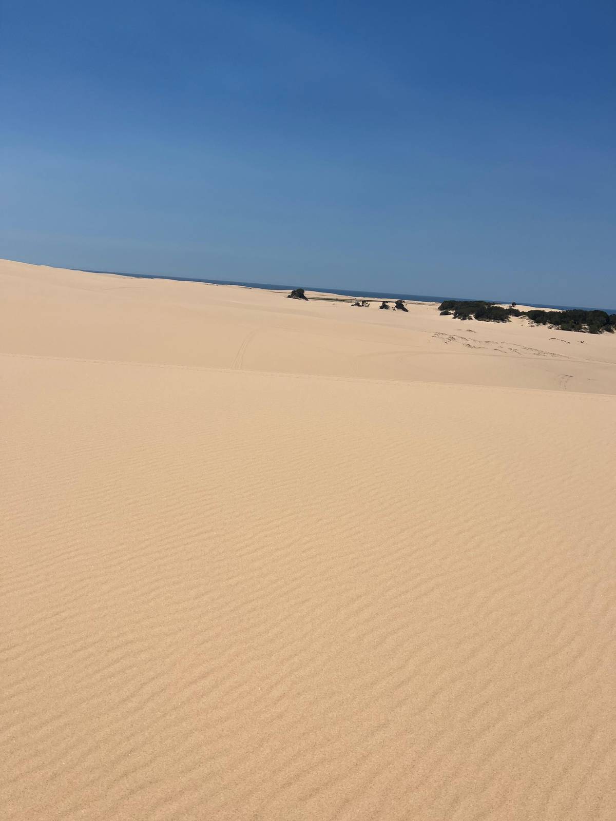 Worimi sand dune quad bike adventure, Port Stephens