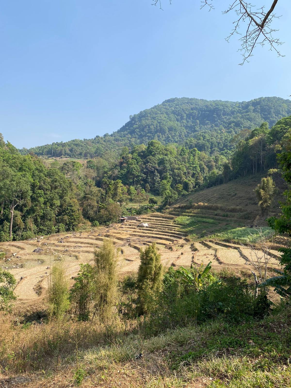 From Chiang Mai: Doi Inthanon National Park Day Trip & Hike