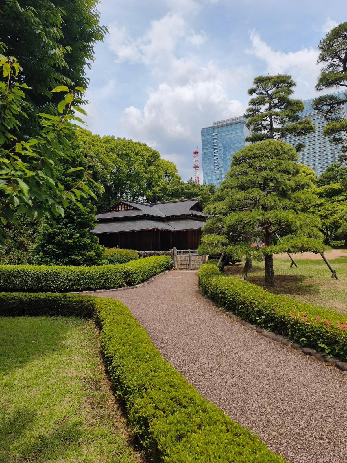 Tokyo: Imperial Palace and Shogun Walking Tour