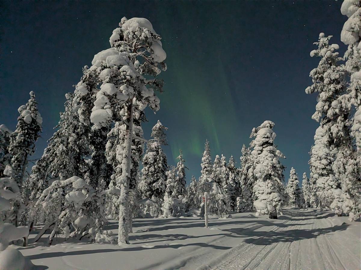 Saariselkä: Northern Lights Hunt by Snowmobile