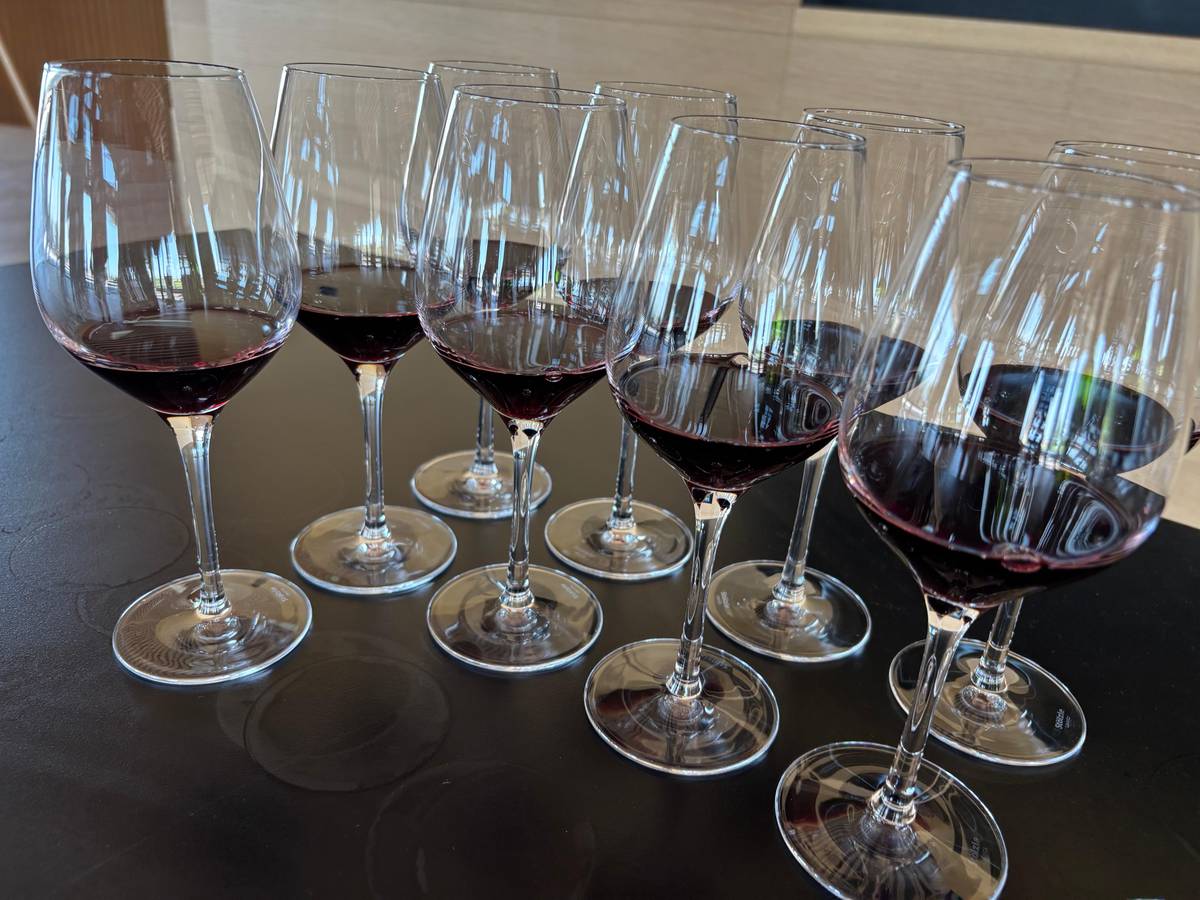 Full-day Saint-Emilion: Village, Undergrounds and Châteaux