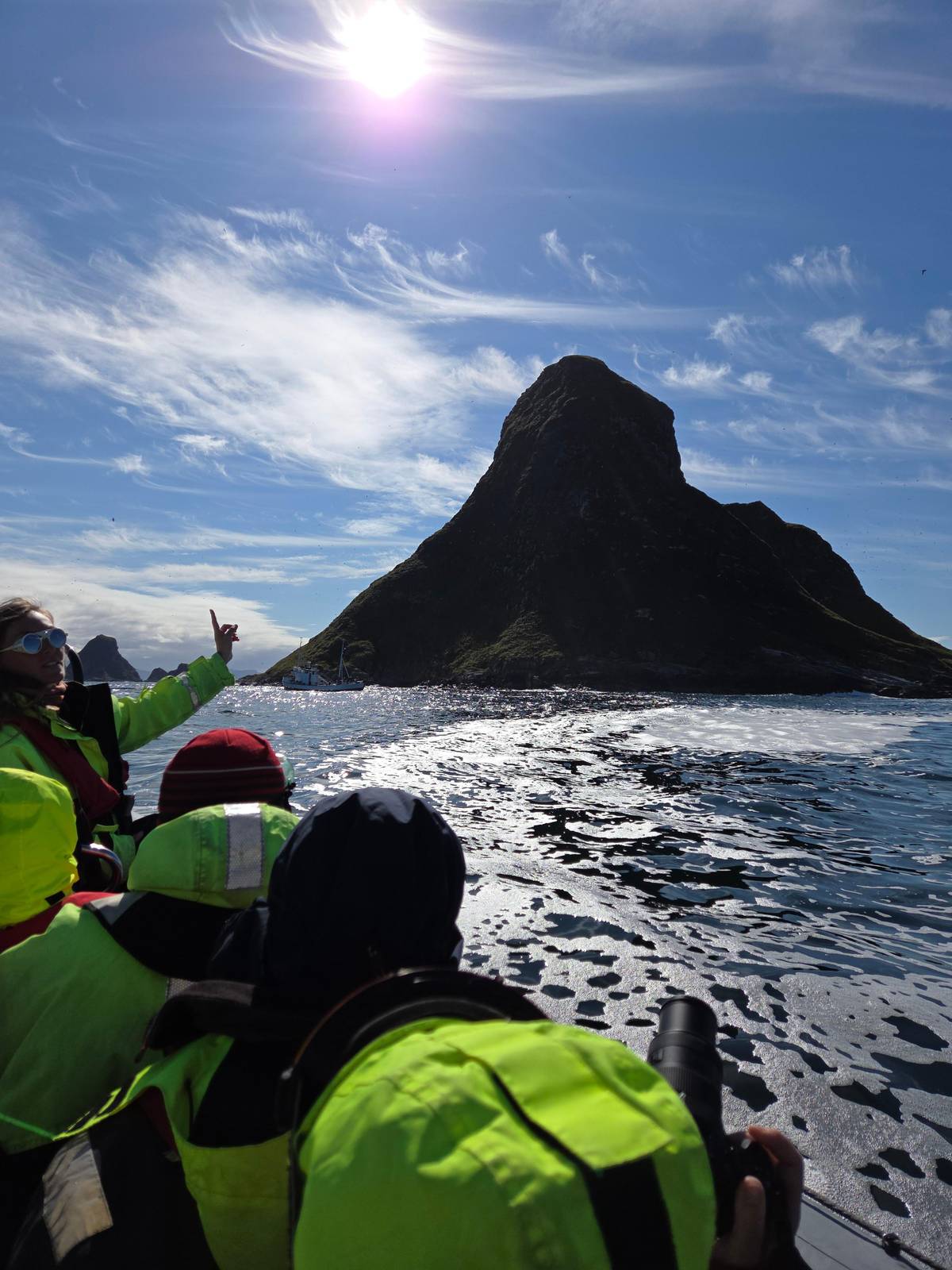 Bleik speedboat whale watching with puffins