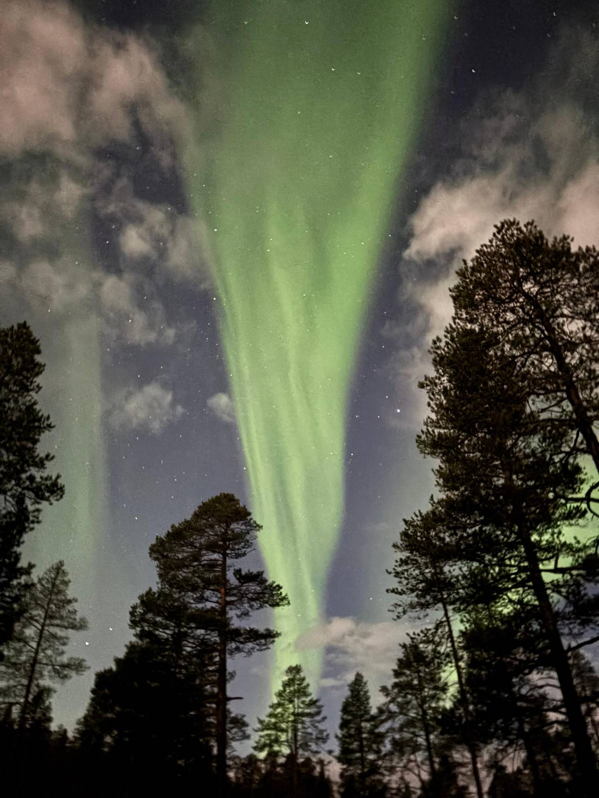 Saariselkä: Northern Lights Viewing and Photography