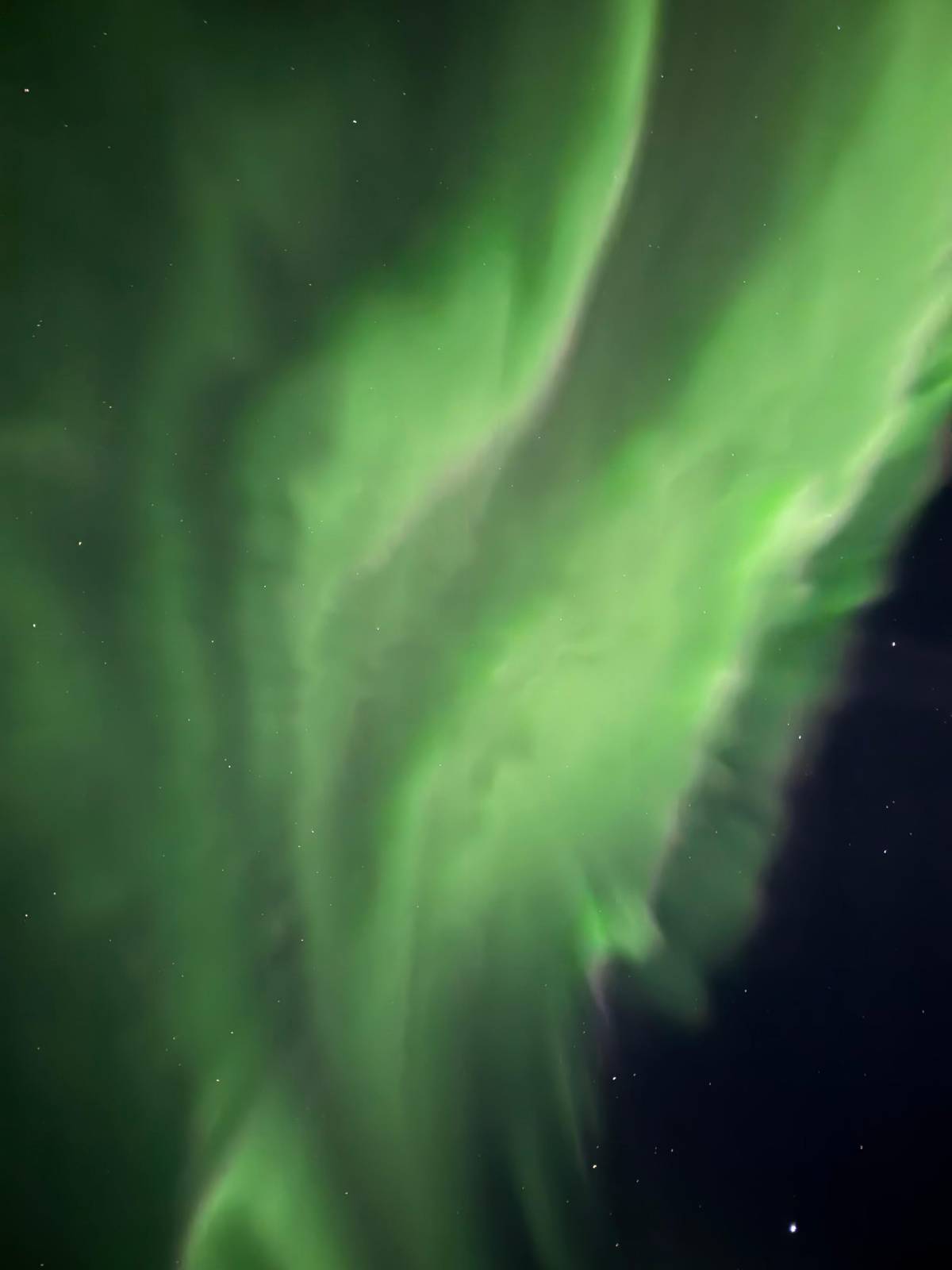 Tromsø: Nordlichtjagd, bis wir sie finden