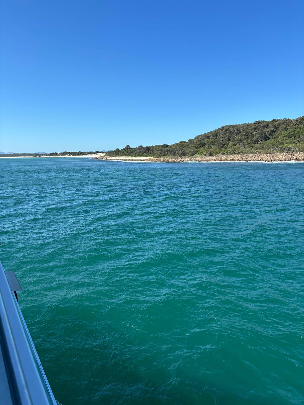 Turquoise water off a wooded shore
