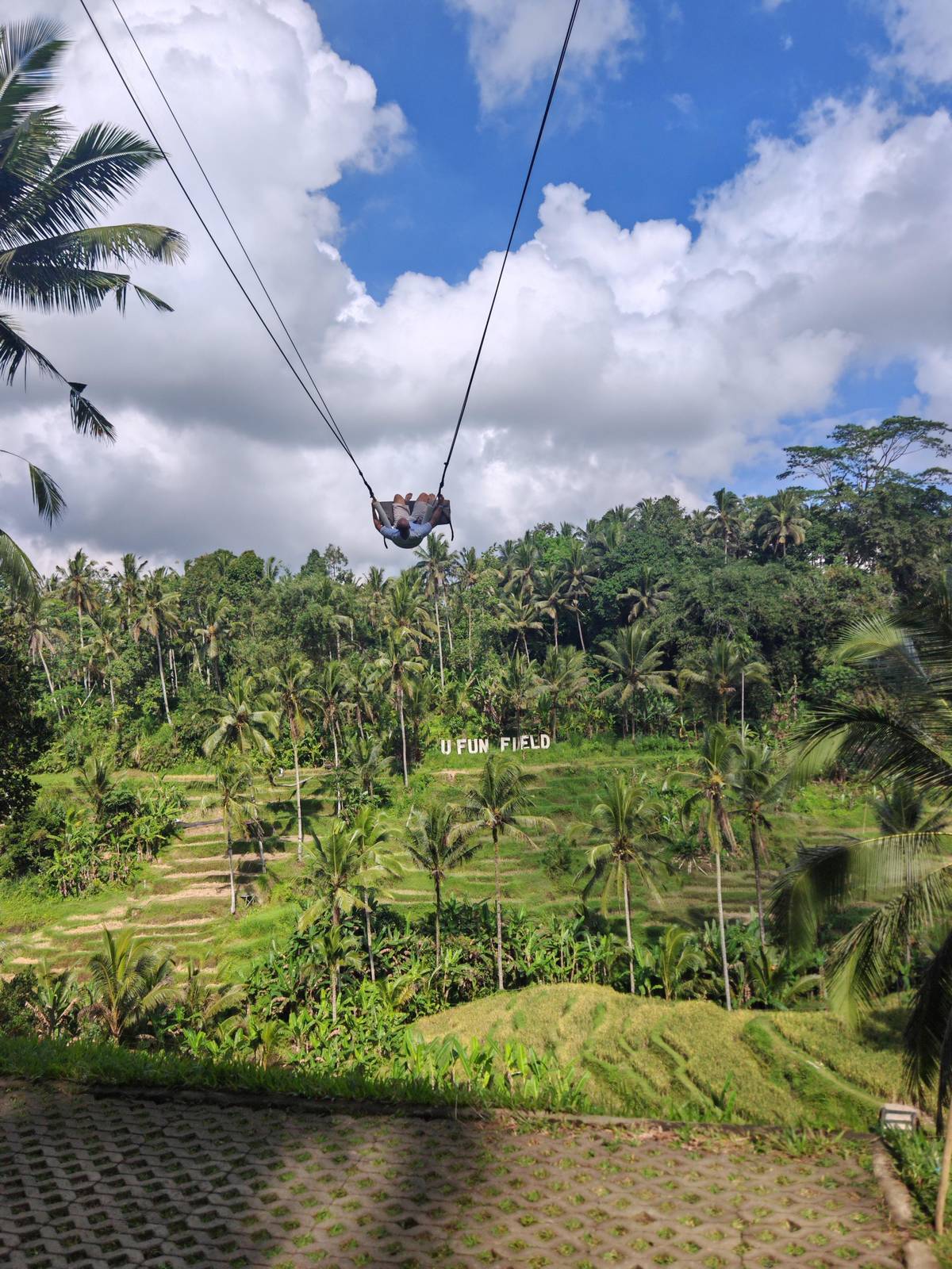 A swing flying out over palm trees and rice terraces