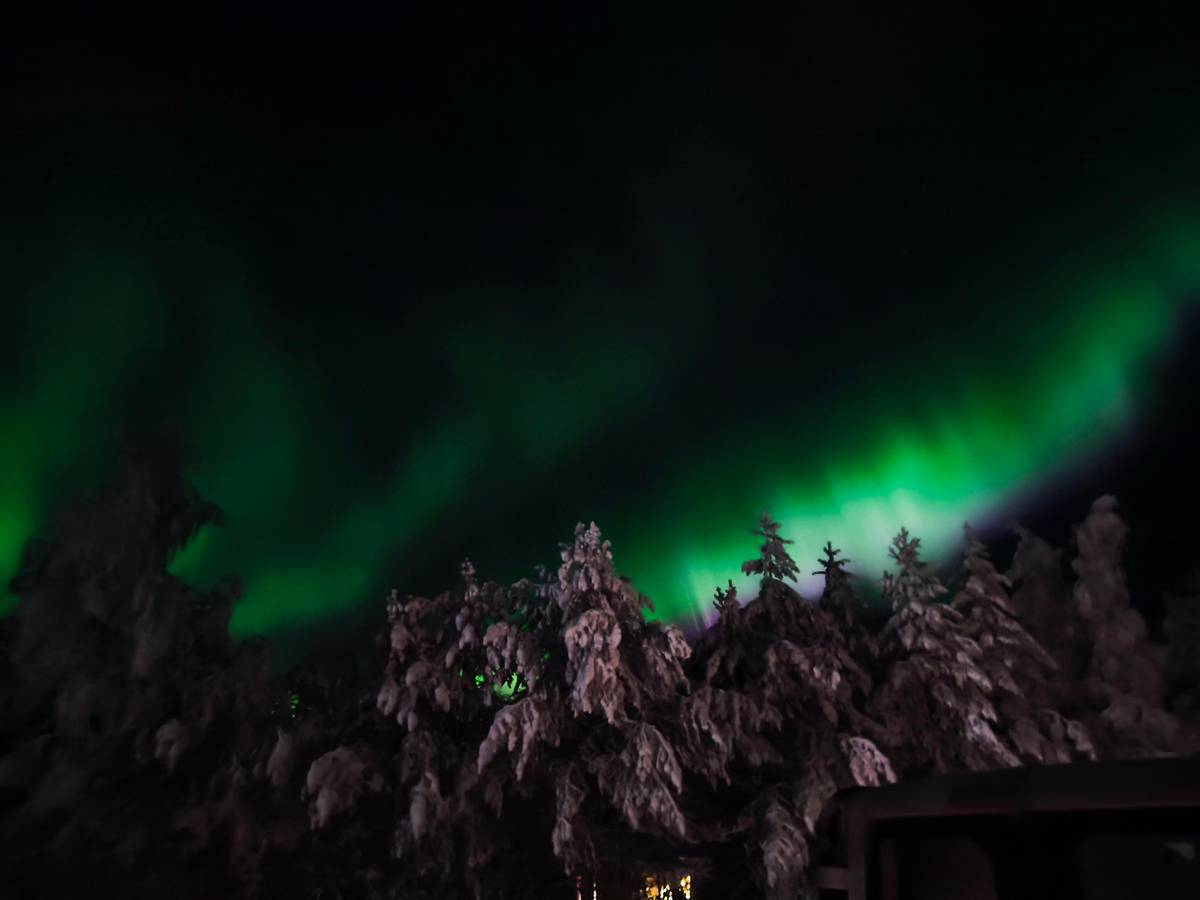 Rovaniemi: Small Group Northern Lights Hunt-guaranteed