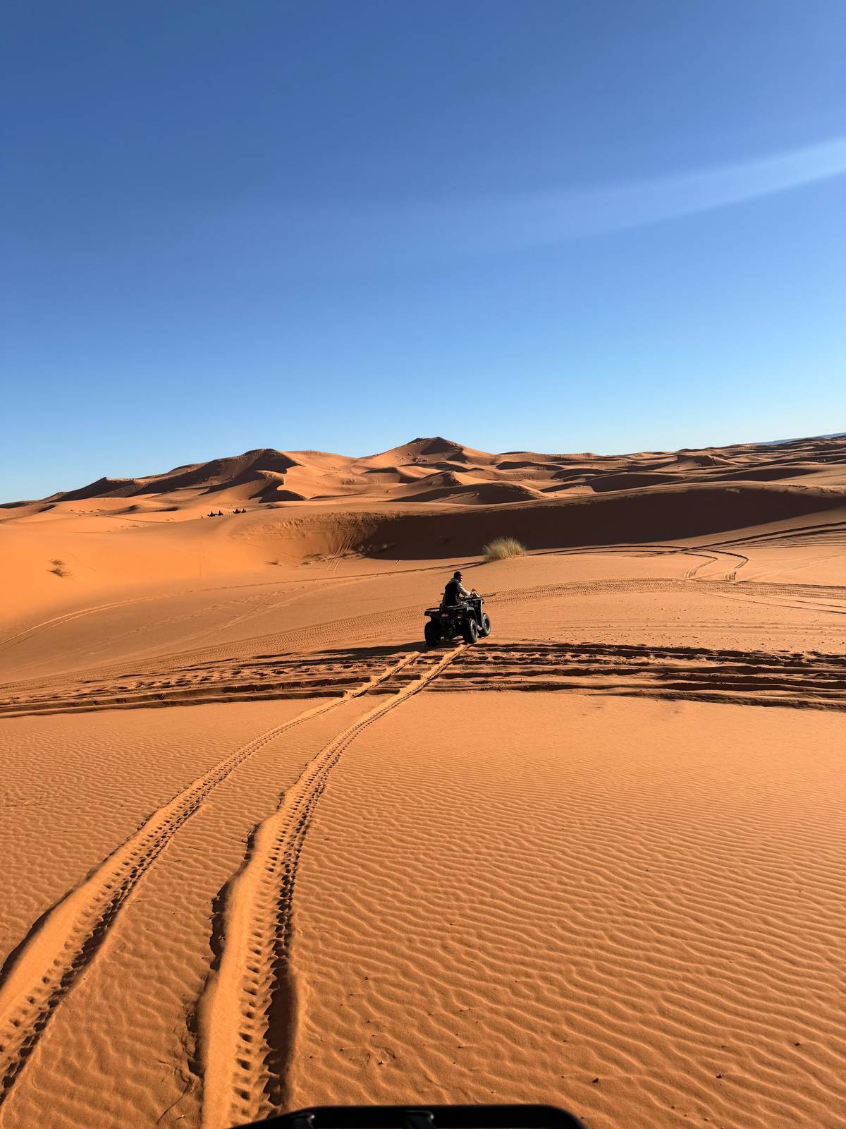 From Merzouga: Adventure Quad Bike Safari & Sandboarding.