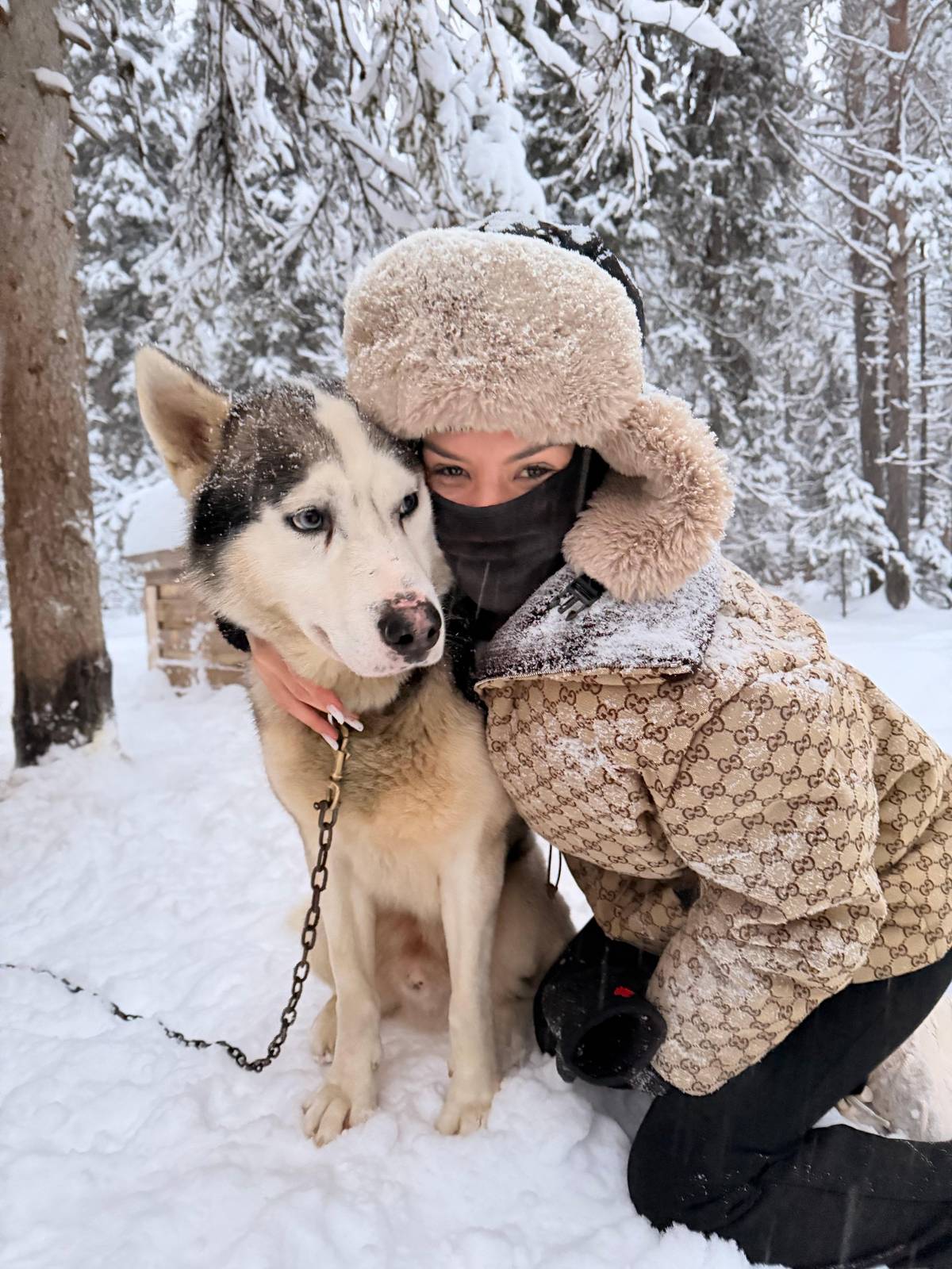 Levi: Lapland Reindeer and Husky Safari