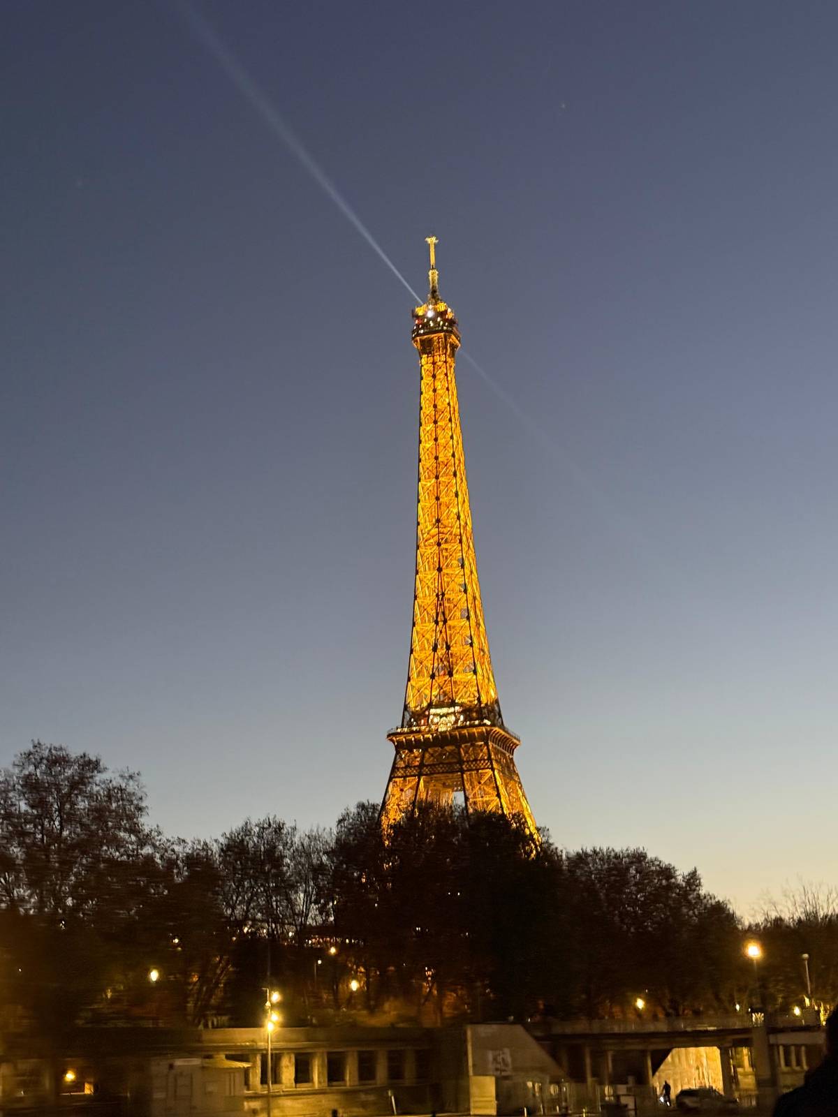 Paris: Seine River Cruise with Champagne from the Eiffel Tower