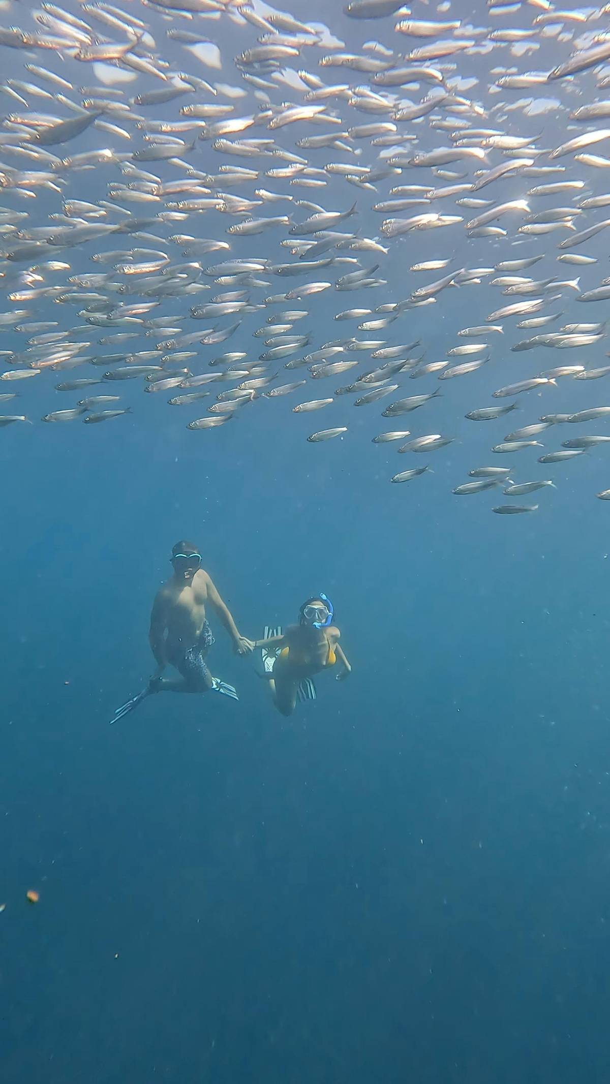 Cebu: Sardine Run Snorkeling, Mantayupan Falls and ATV Thrills
