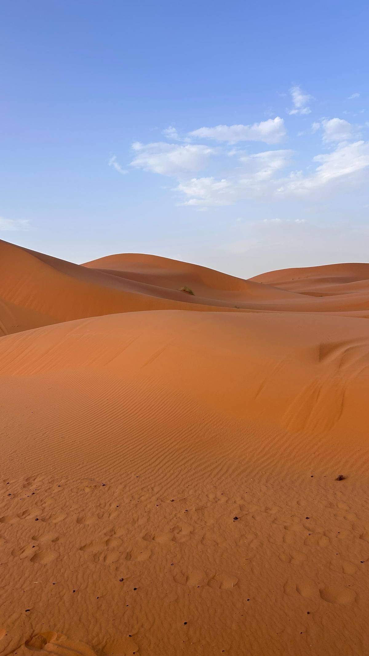 Marrakech to Fes: 3-Day Premium Desert Journey via Merzouga