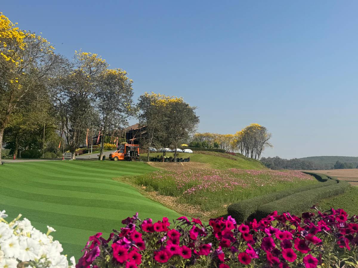 Chiang Mai: Private Chiang Rai Highlights & Golden Triangle