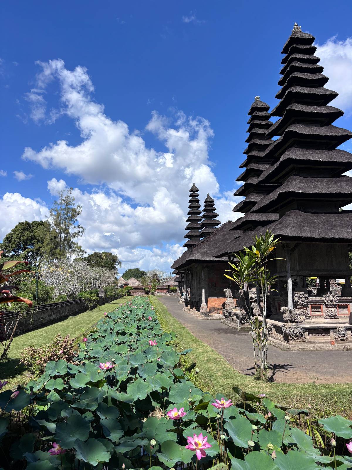 Tiered meru towers of Taman Ayun behind a lotus pond