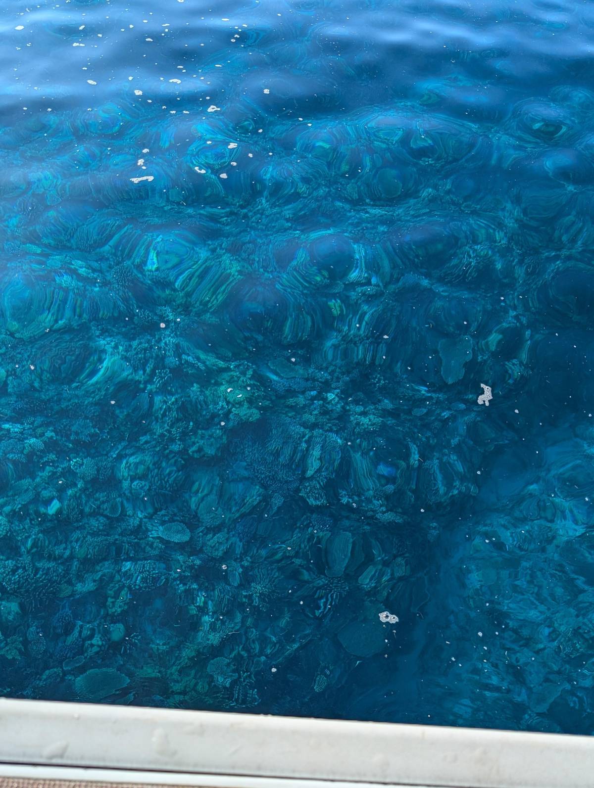 Kerama Half-Day Snorkeling Tour