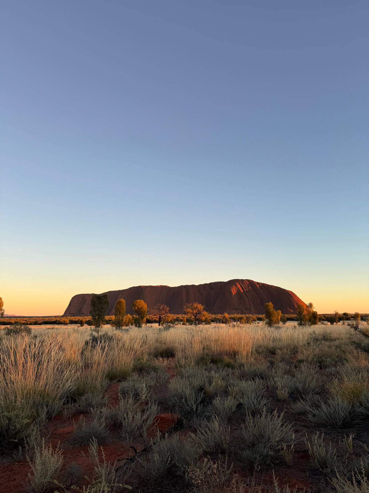 Uluru in silhouette against the first light