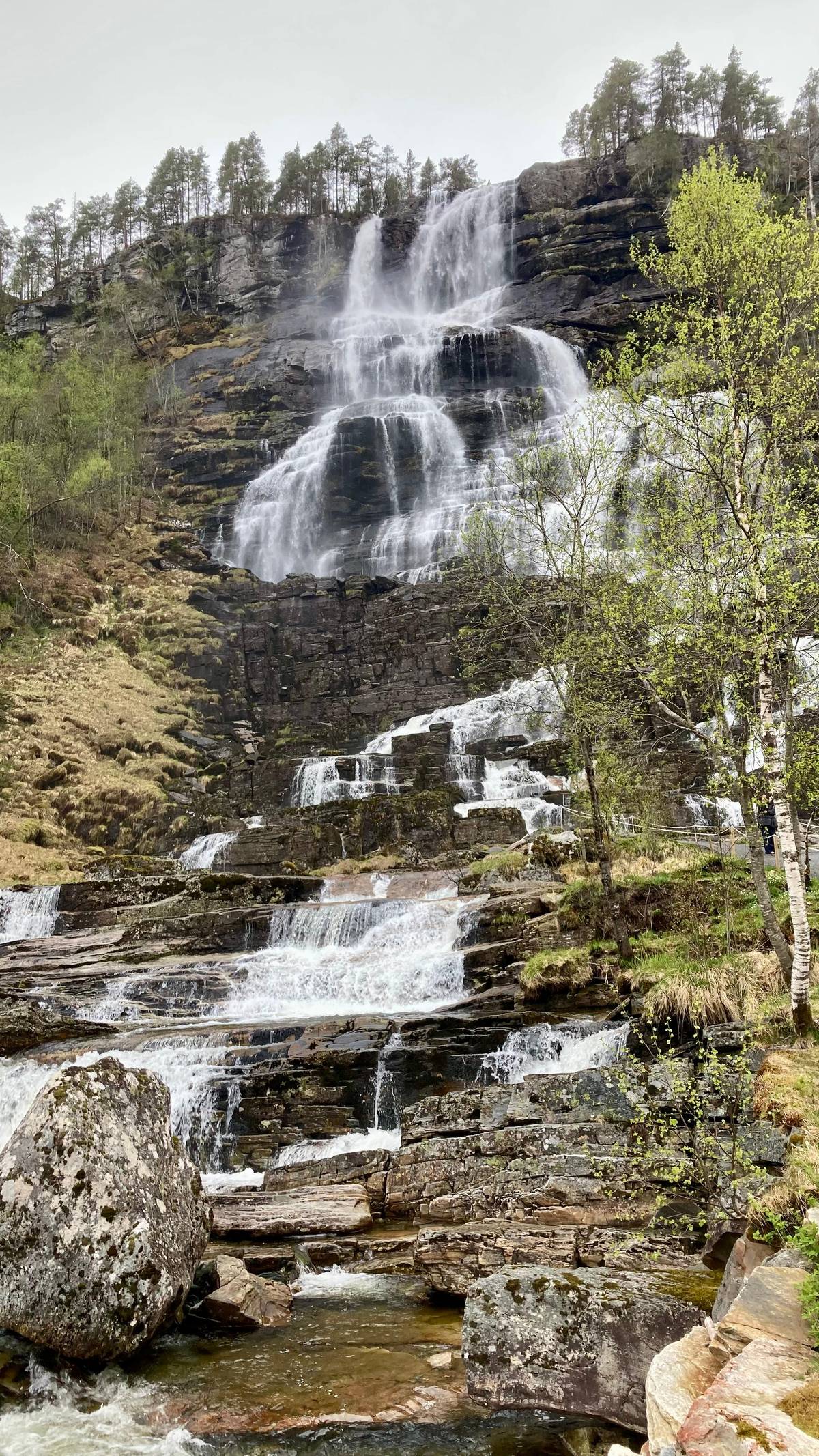 Nærøyfjord, Flåm and Stegastein guided bus tour