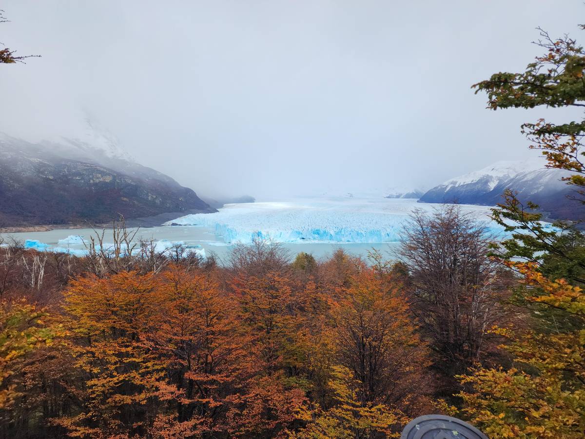 Autumn colors in the forest below the ice