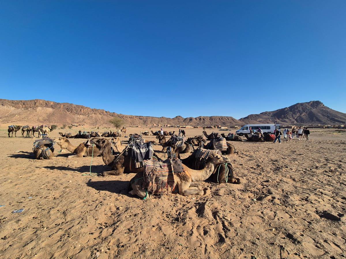 From Marrakech: 2-Day Zagora Desert Tour via Ait Benhaddou