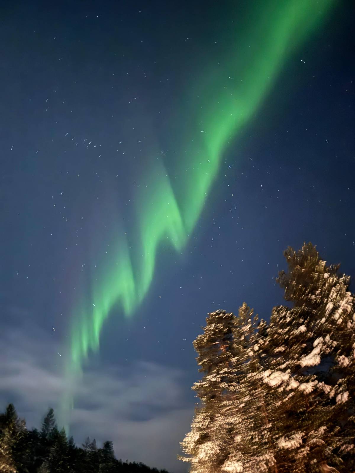 A green arc above frosted trees