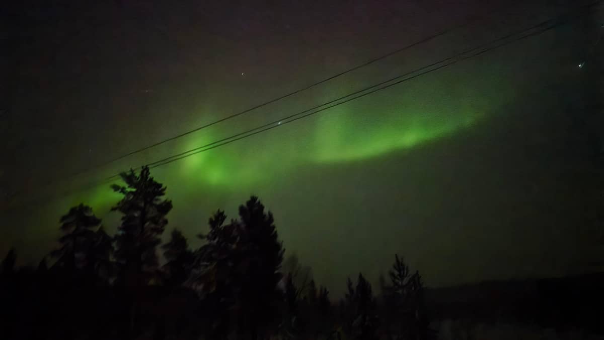 Northern Lights Hunting with Aurora Workshop