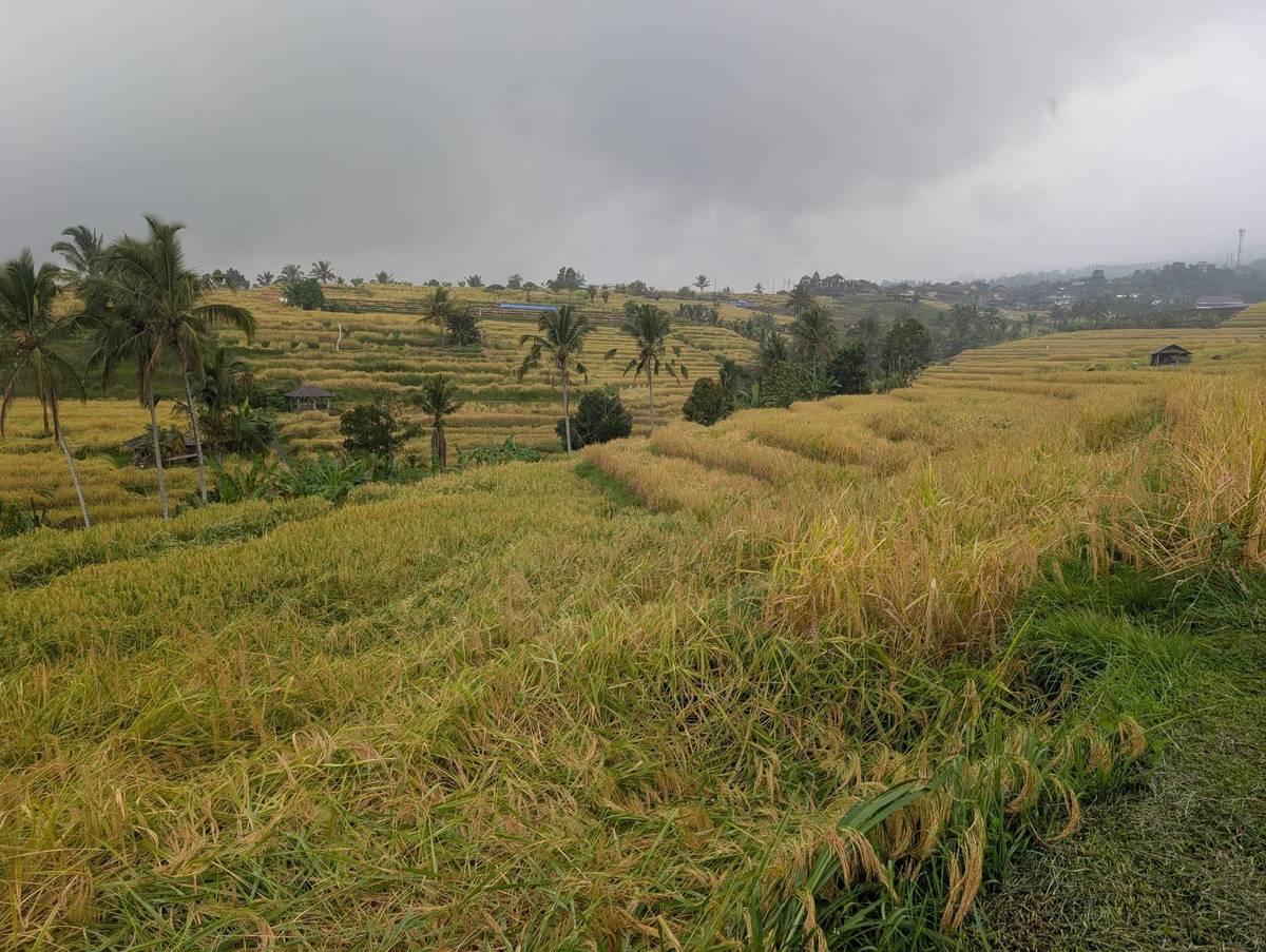 Tanah Lot, Jatiluwih and Ulun Danu Beratan