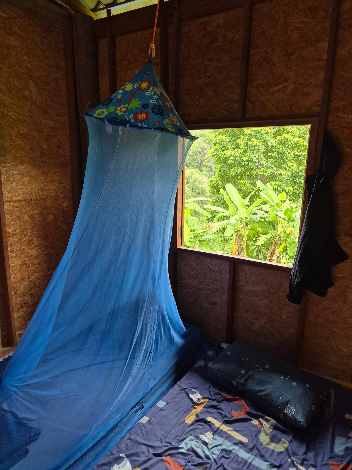 A blue mosquito net hung over a mattress in a wooden hut