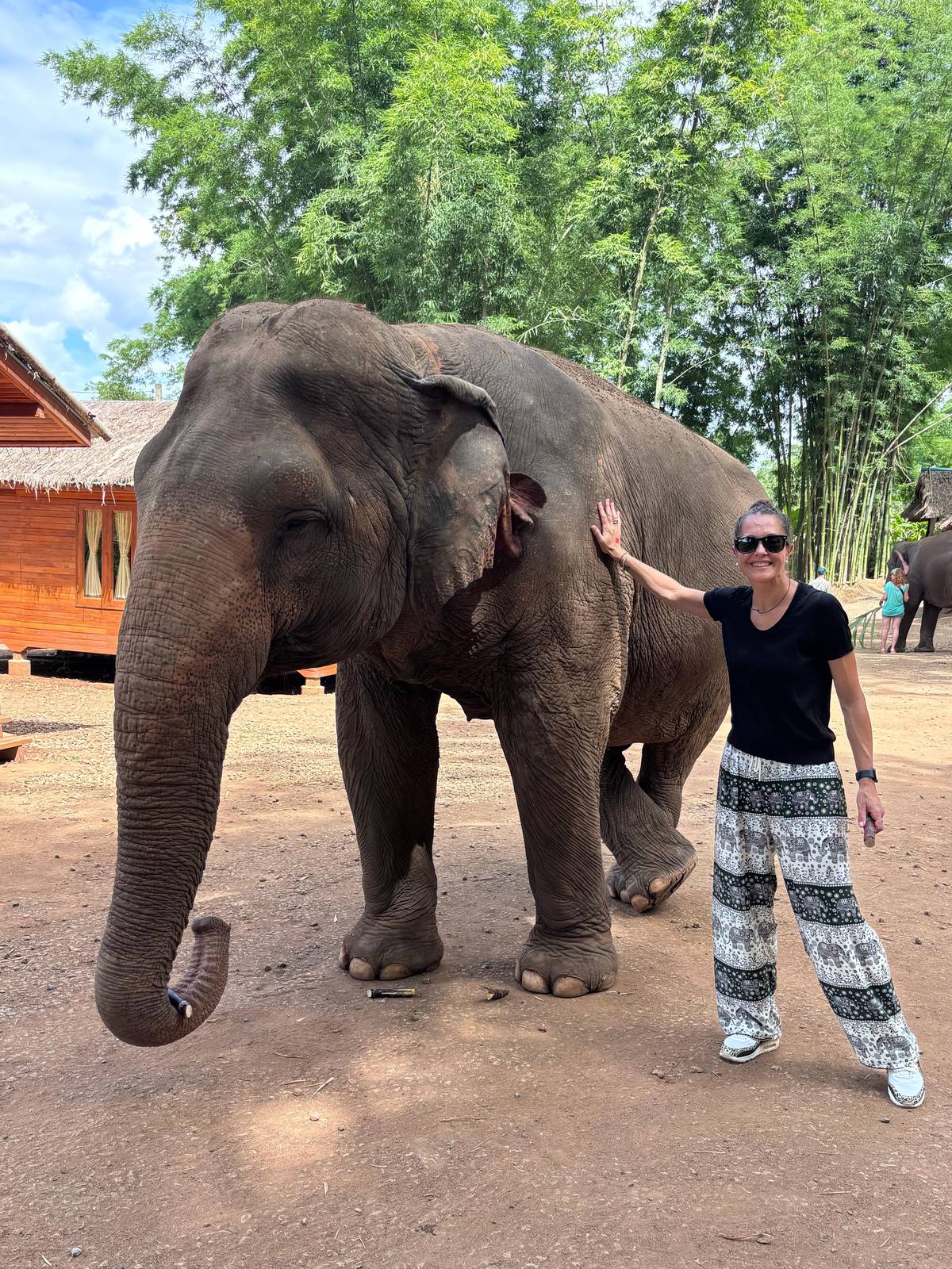 Chiang Mai: Elephant Sanctuary Feeding Program Half-Day Tour