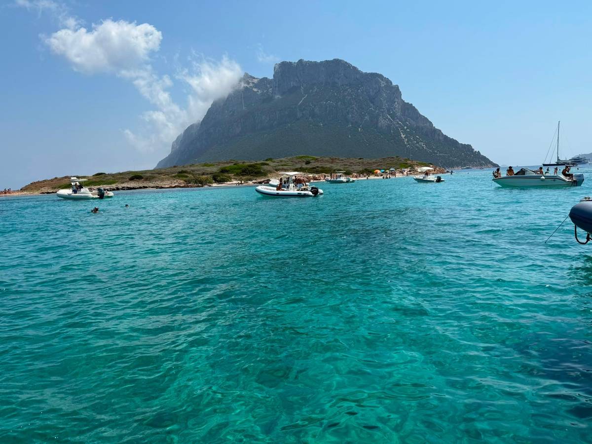 Olbia: Tavolara and Molara snorkeling boat tour