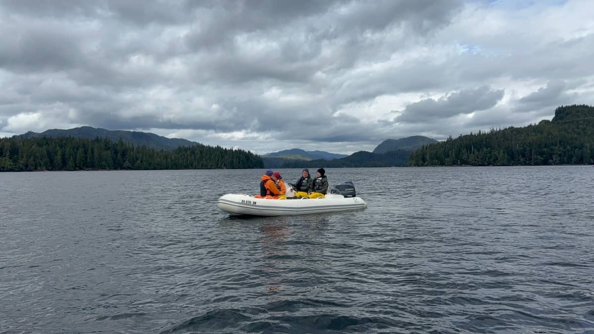 Ketchikan: Scenic Drive and George Inlet Zodiac Cruise