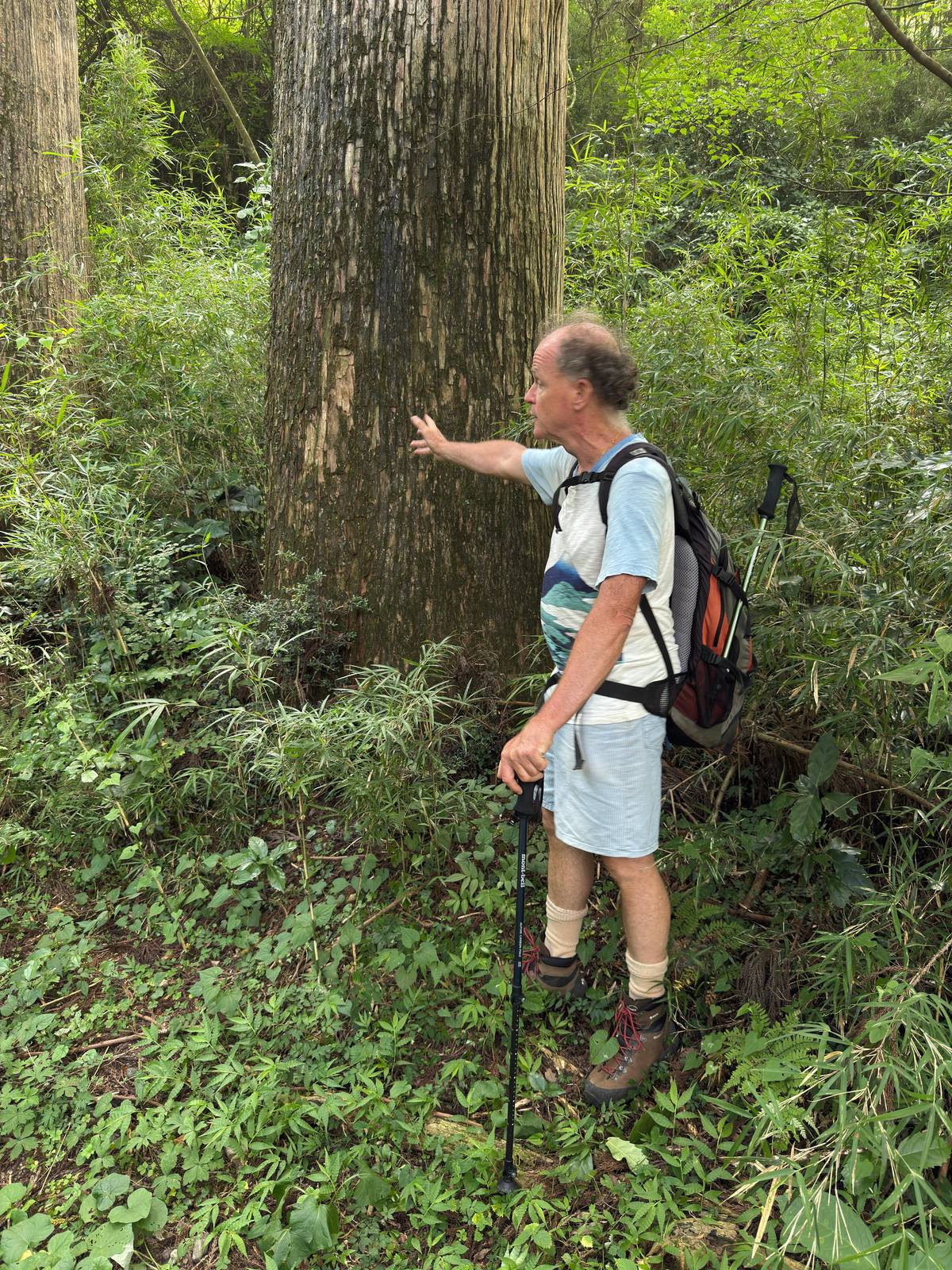 Hike Hakone Hachiri Japan Heritage Area