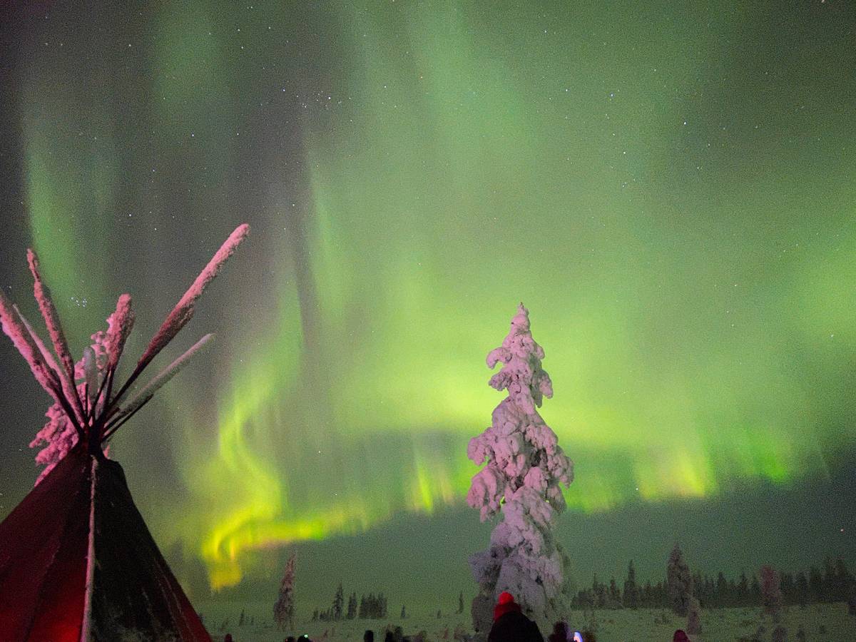 From Rovaniemi: Lapland Aurora Hunt with Barbeque