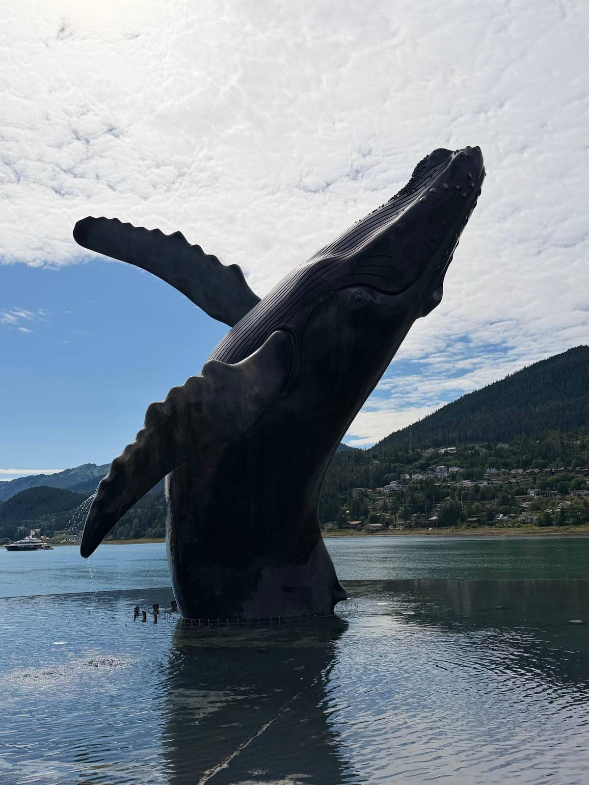 The bronze humpback breaching at Overstreet Park