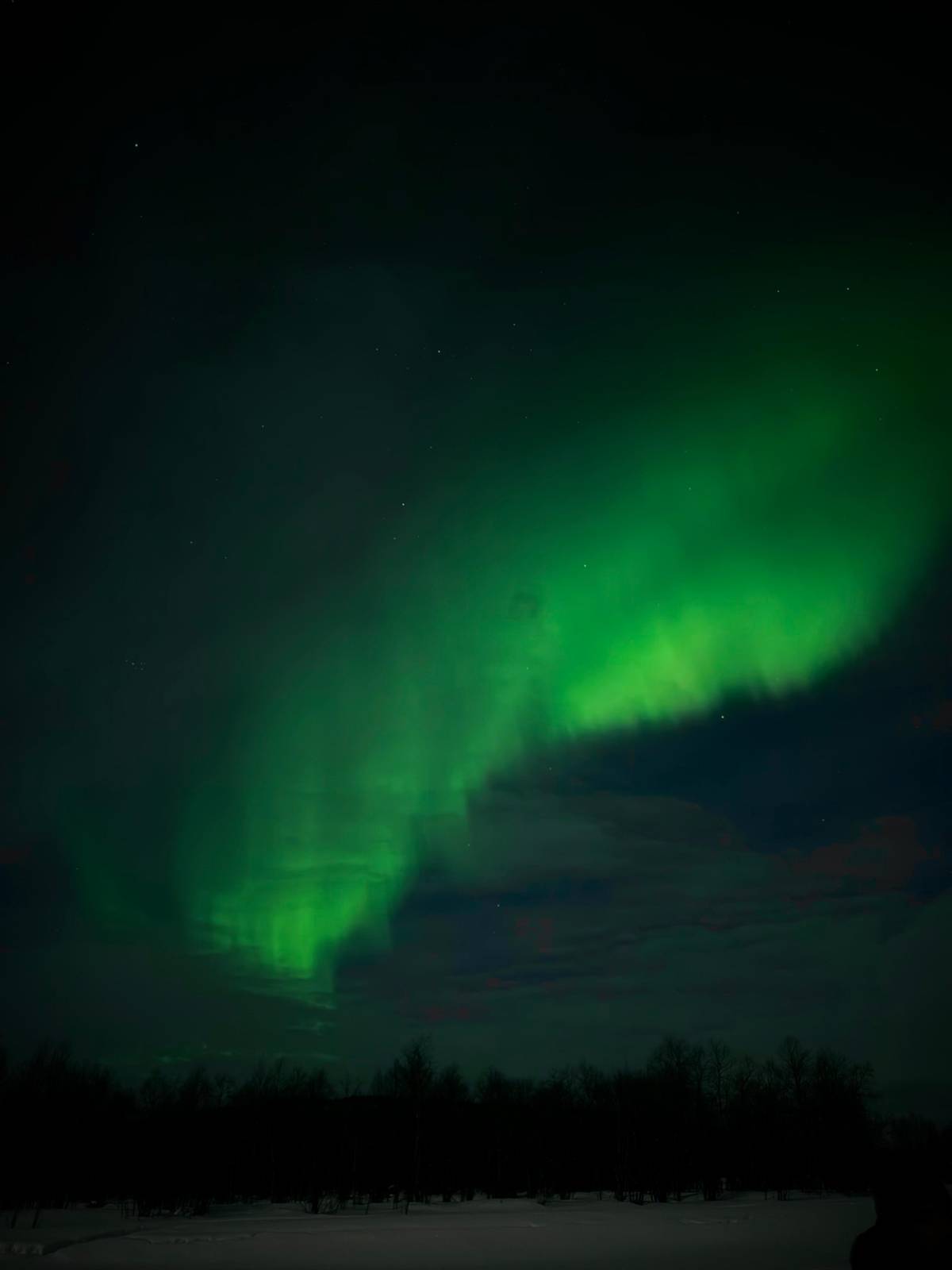 Ivalo: Lake Inari Northern Lights Tour w/ Reindeer & Dinner