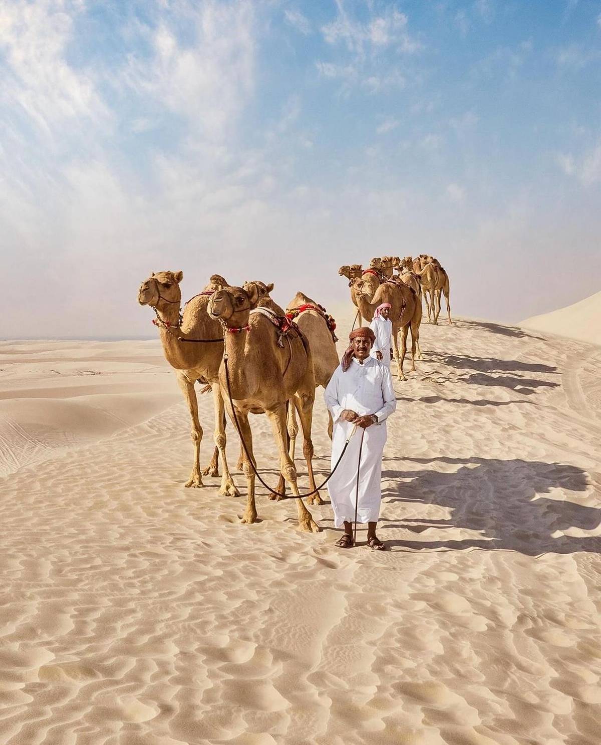 A guide leading camels along a dune crest