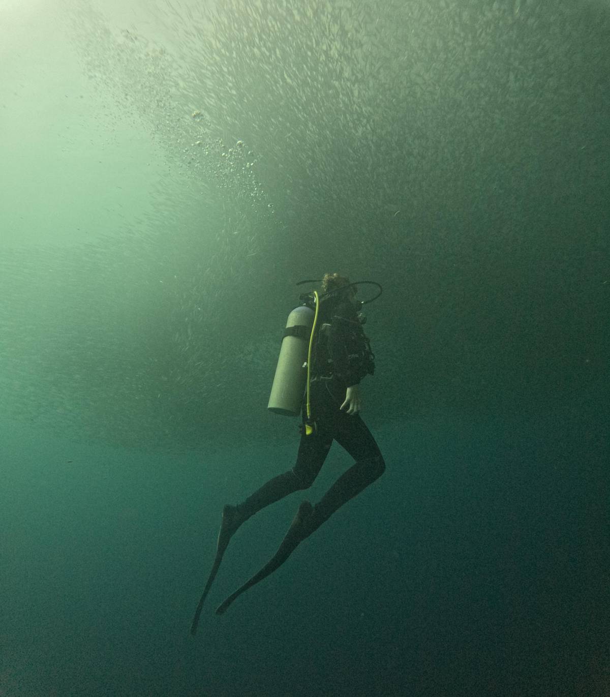 Moalboal scuba diving and Pescador snorkel
