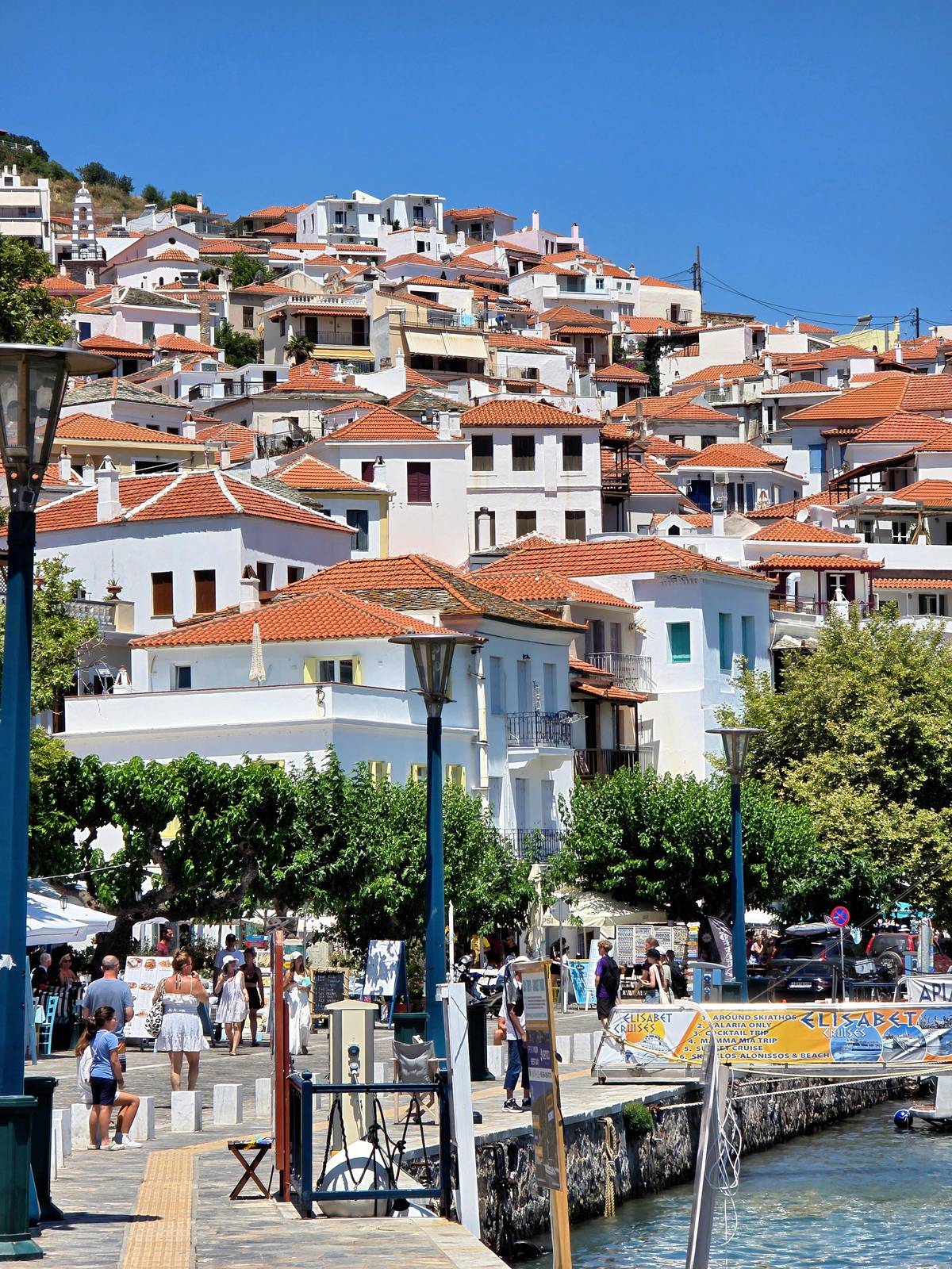 Houses climbing the hill above a harbor street