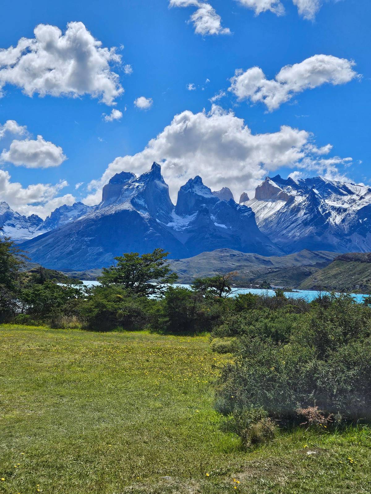 Puerto Natales: Full Day in Torres del Paine and the Milodon Cave