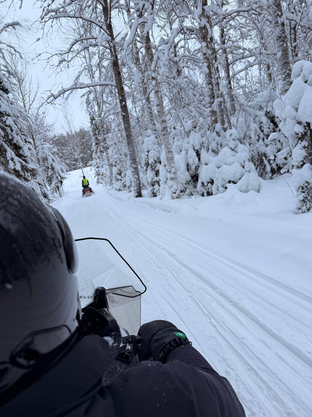 Rovaniemi: 2-Hour Snowmobiling Experience