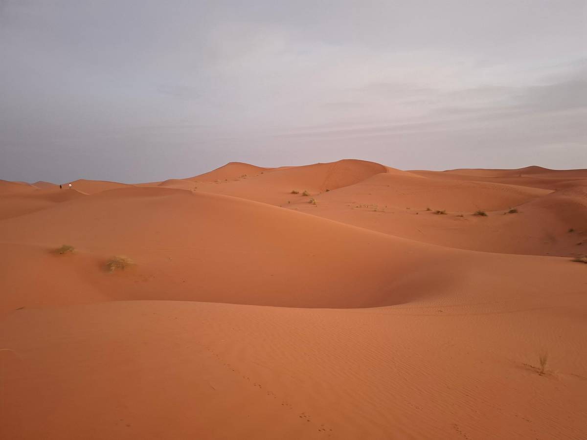 From Marrakesh: 4-Day Private Atlas Mountains and Desert Tour