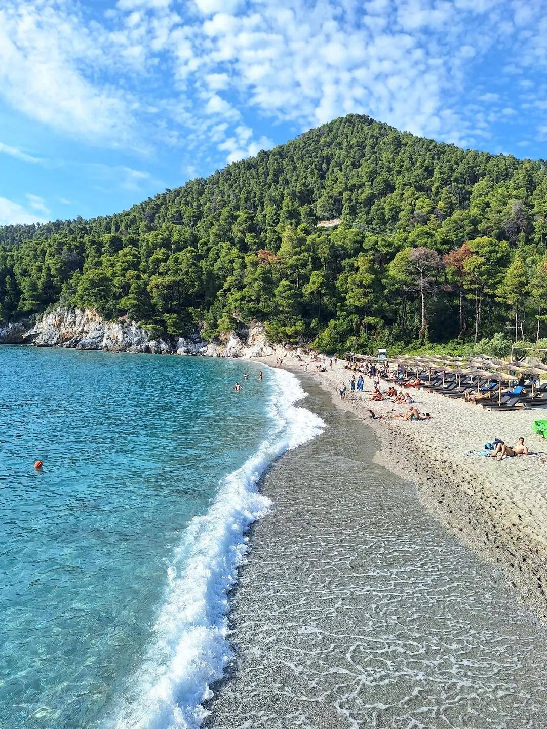 A pebble beach below a pine-covered hill
