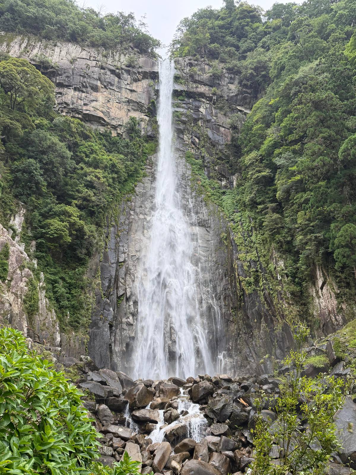 Nachi Falls dropping over a sheer rock face