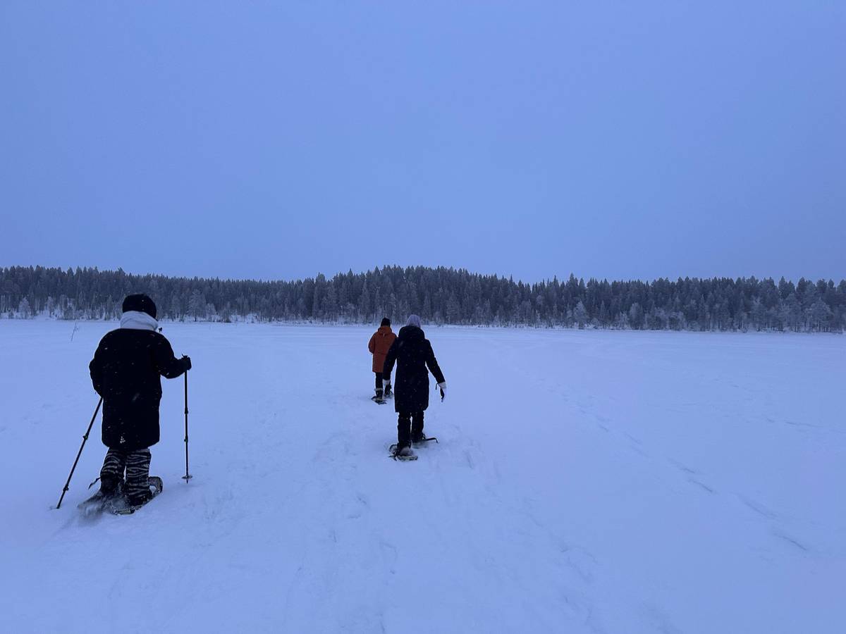 Arctic Reindeer Farm Experience with Snowshoeing in the Wild