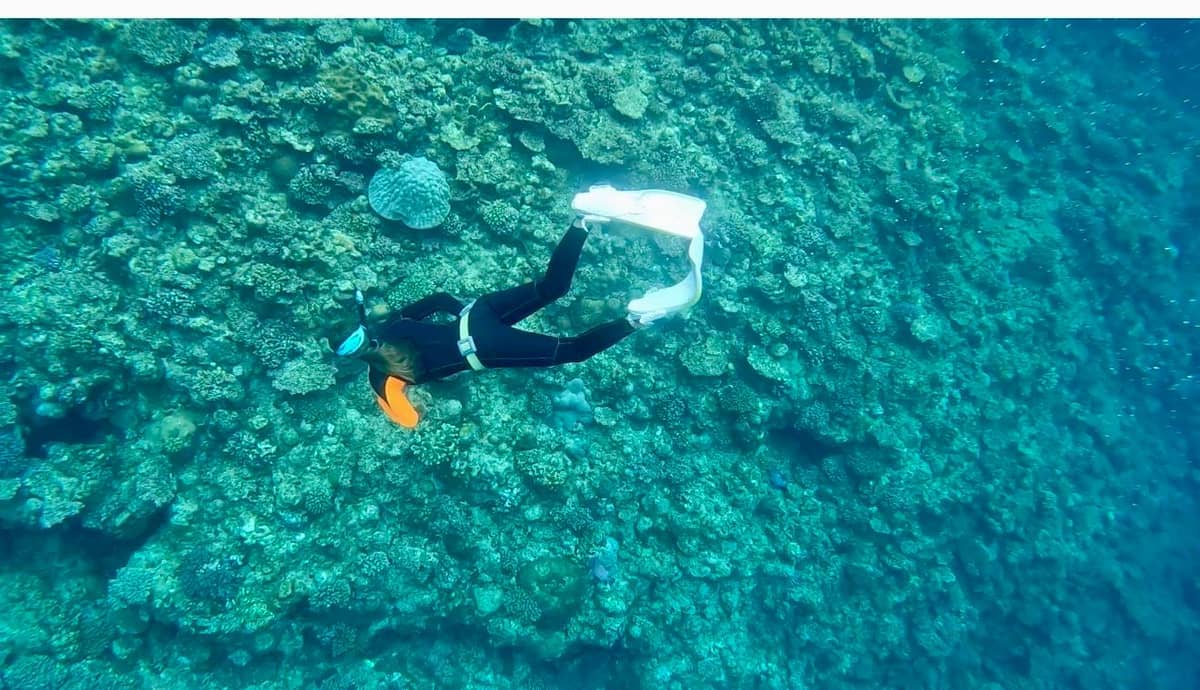 Okinawa: Blue Cave Freediving Tour with GoPro Photos