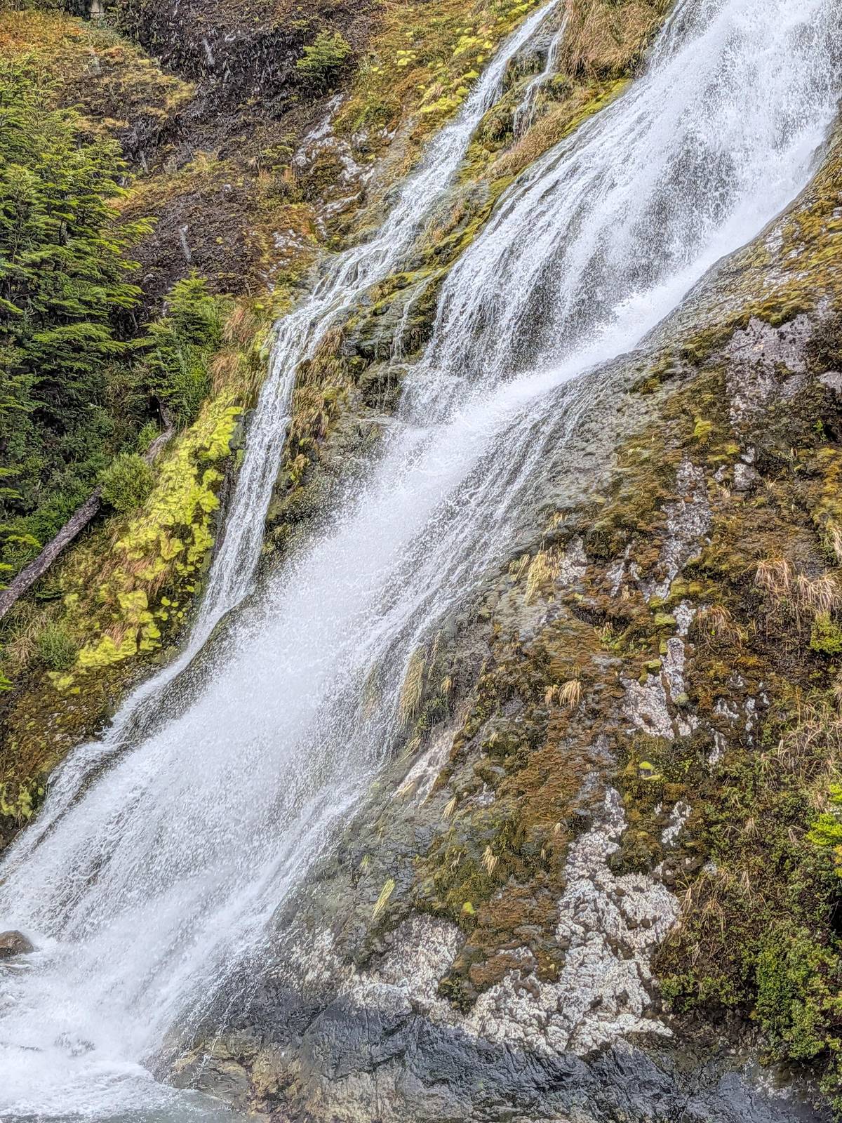 A waterfall tumbling down a forested cliff